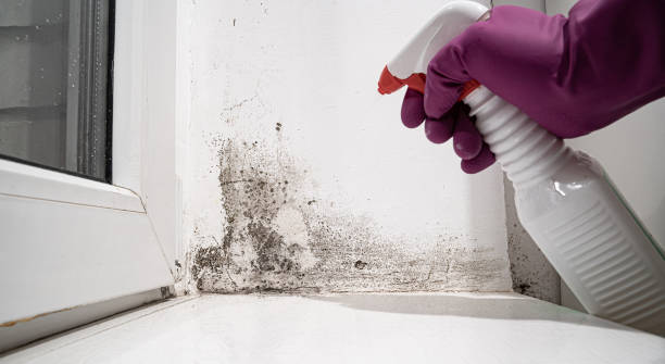 Best Commercial water damage restoration  in Manahawkin, NJ